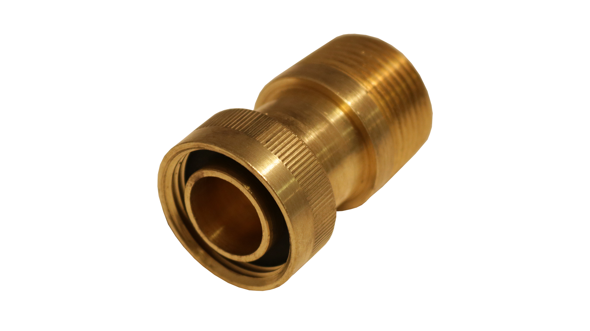 MPT x FPT Swivel - Straight (SSN)