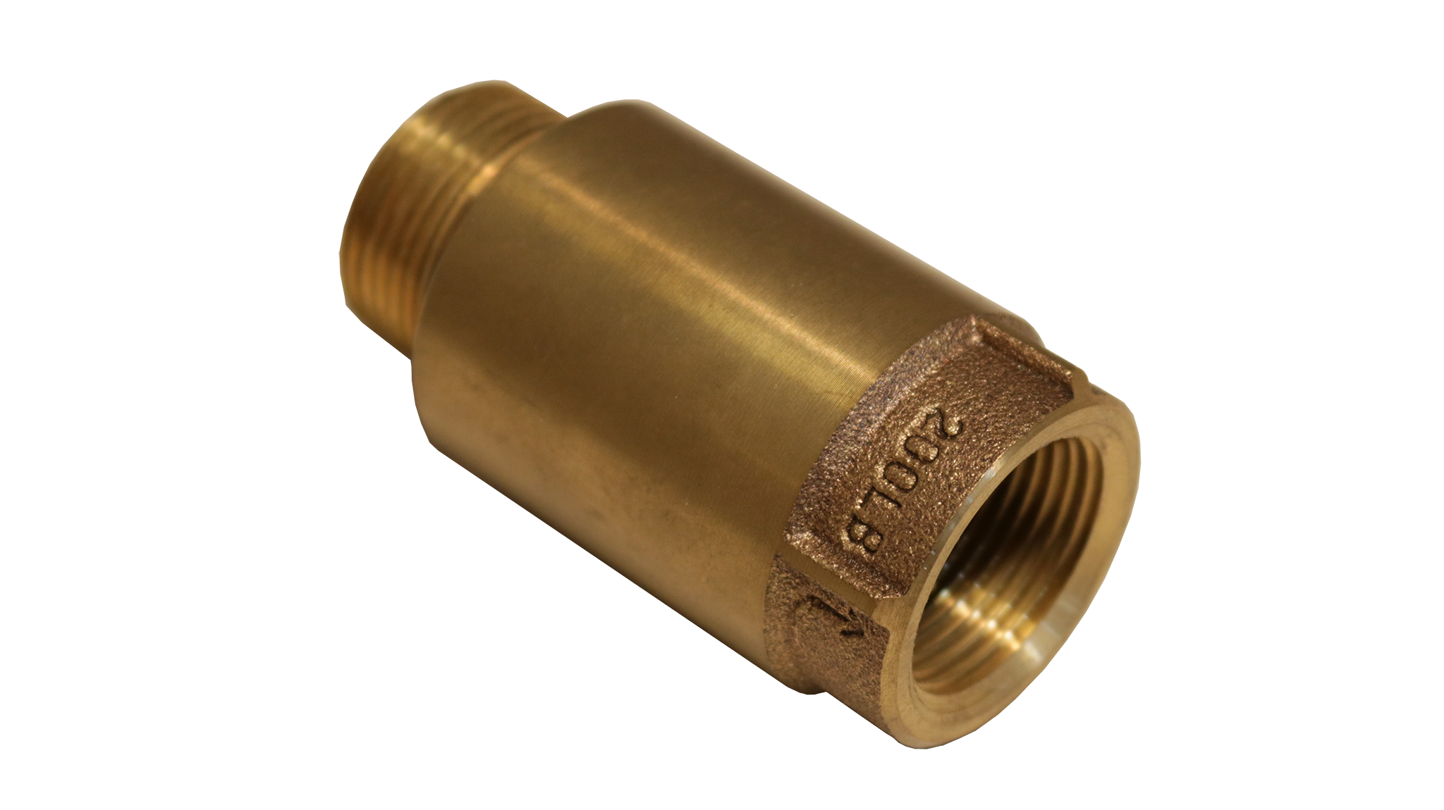 MPT x FPT - Spring Check Valves  (CVMNL)